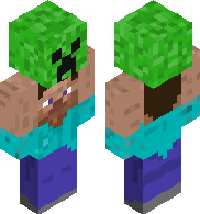 preview for creeper on steve