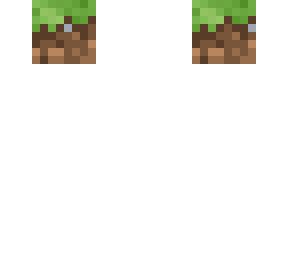 preview for Earth Block Face