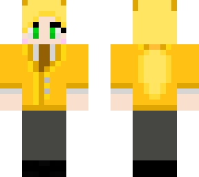 preview for Honey Election Skin