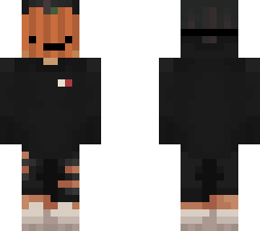 preview for Skin for Idiot