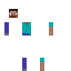 skin for 2d steve