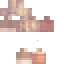 skin for 8bit Spice