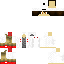 skin for AlpacaBot