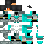 skin for amir gamer