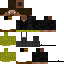 skin for army steve