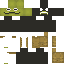 skin for assasin frog from frog and toad