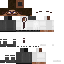 skin for bartko