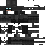 skin for Batman