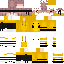 skin for Bee Boy