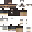 skin for Bee Boy