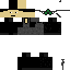 skin for bodygaurd secret service agent