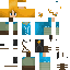 skin for Breath of the Wild Link