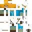 skin for Breath of the Wild Link no cape
