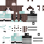 skin for Brownie