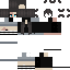 skin for c6t