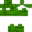 skin for Cactus Steve