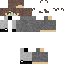 skin for carl