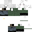 skin for cat dude