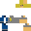 skin for checkered girl