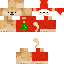 skin for Christmas Doge