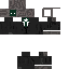 skin for computer 2