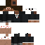 skin for CoNerd