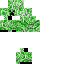 skin for creeper