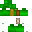 skin for derp turtle