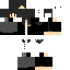 skin for directora UMDV