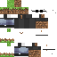 skin for DIrt V2