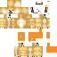 skin for DOGE