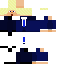 skin for Donald J Trump