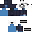 skin for duck reskin blue