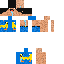 skin for dumbie