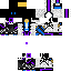 skin for Ender Assassin 