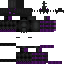 skin for Enderboy