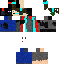 skin for endergamer