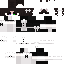 skin for endermaid