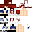 skin for Erza Scarlet MOST FINISHED