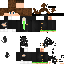 skin for Ewron 20