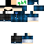 skin for fewefwef