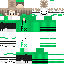 skin for FlexerGreen