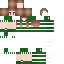 skin for For some slytherin friend