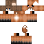 skin for Fox Boy D