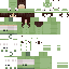 skin for Froggy