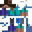 skin for frosty checkered steve