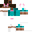 skin for furry