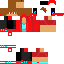 skin for Gamer Willplayz1970v2