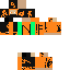 skin for Gamerkid3311