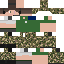 skin for Gen5 CADPAT (MT) (ARMY)